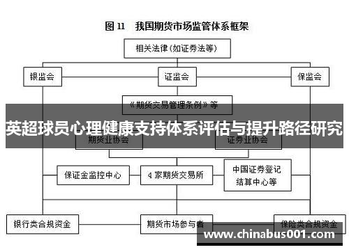英超球员心理健康支持体系评估与提升路径研究